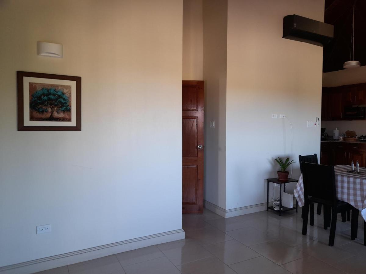 Ultimate Chill Montego Bay Apartment Exterior photo